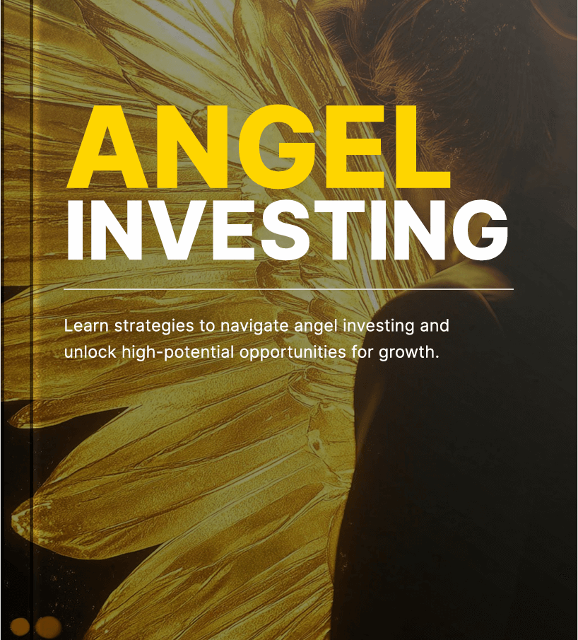 Angel Investing - Ebook