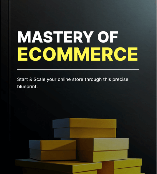 Mastery of Ecommerce