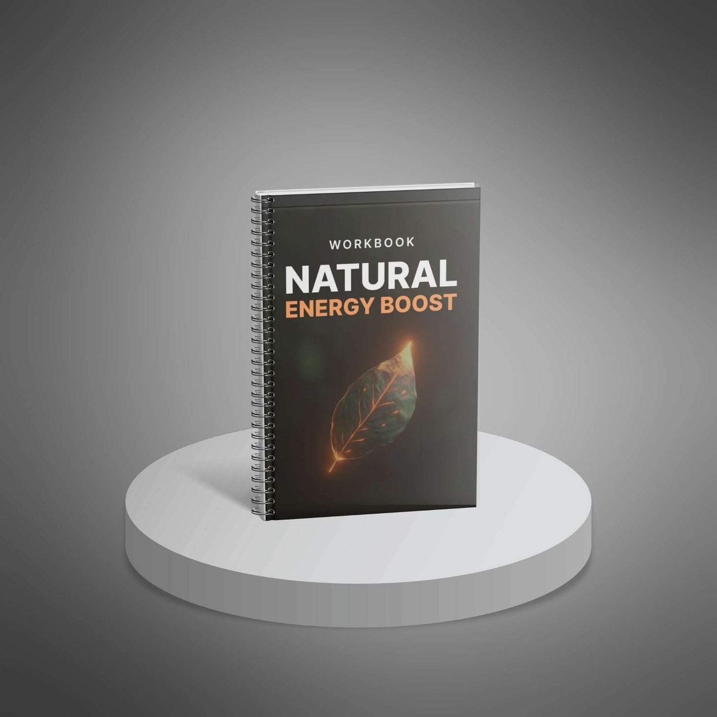 Natural Energy Boost - Workbook