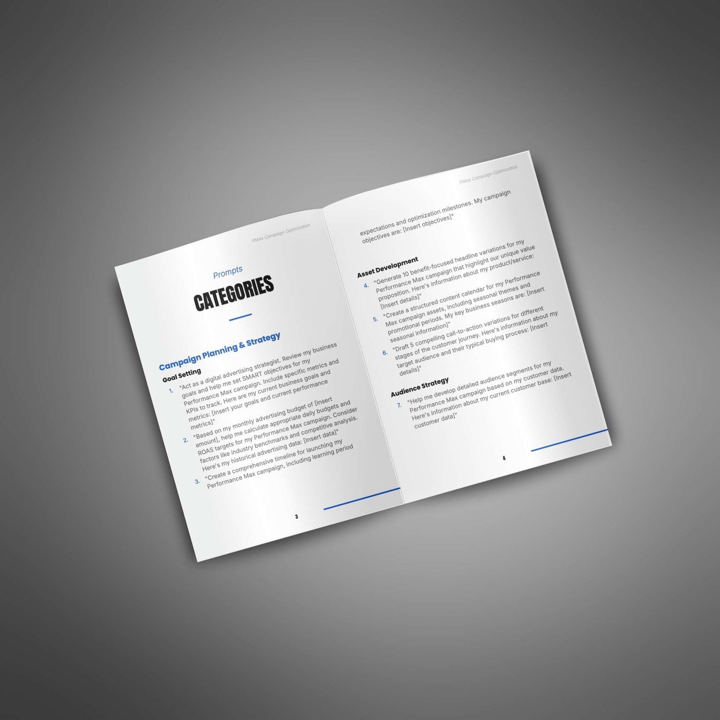 Performance Max Campaign Optimization