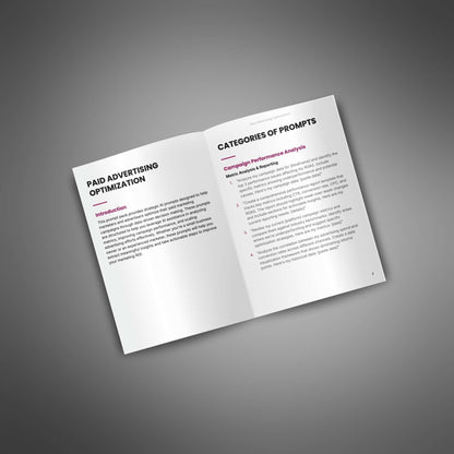 Paid Advertising Optimization