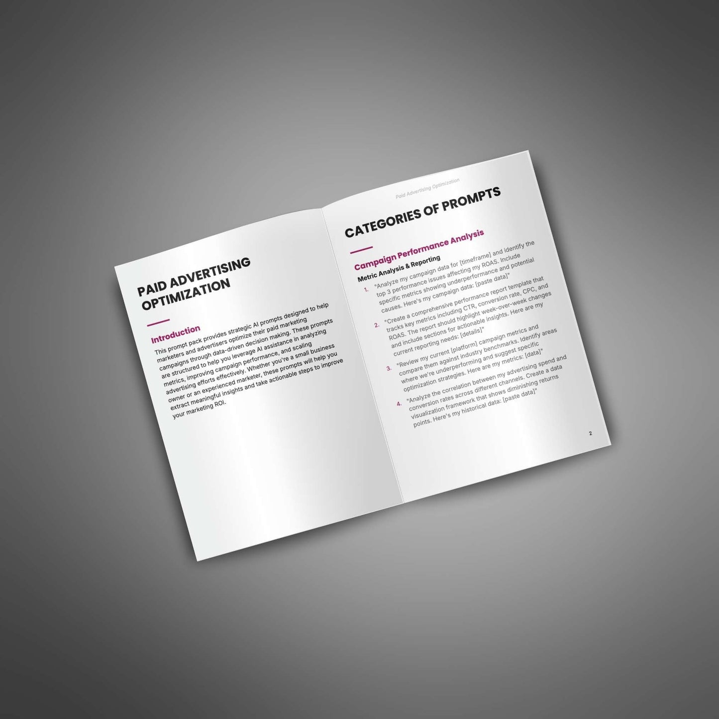 Paid Advertising Optimization