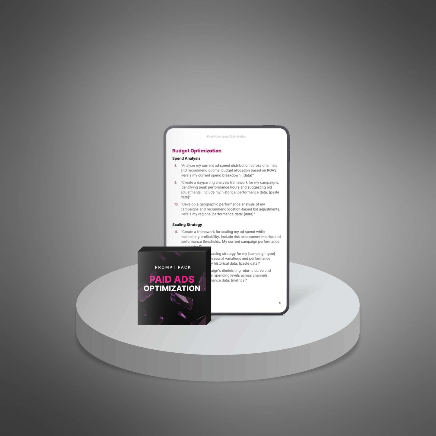 Paid Advertising Optimization