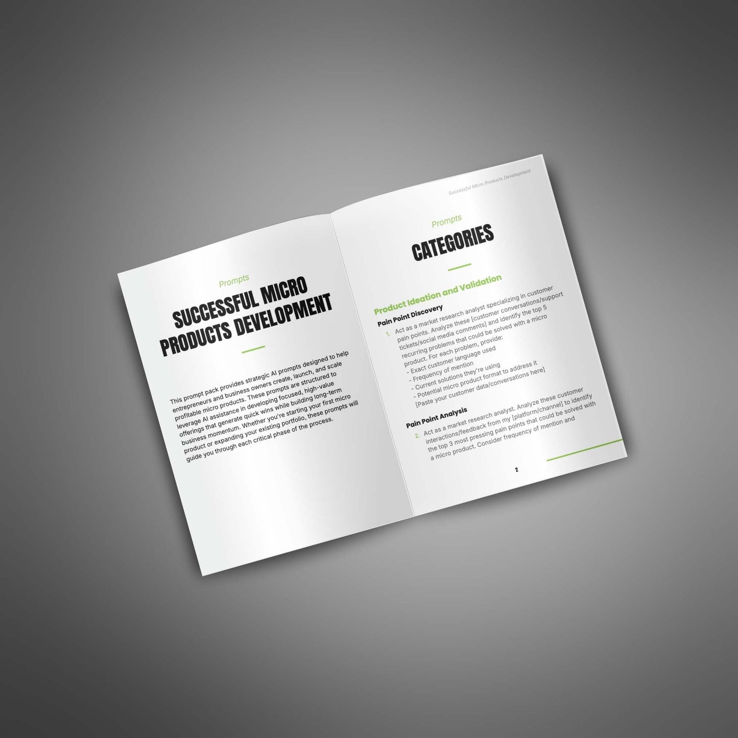 Successful Micro Products Development